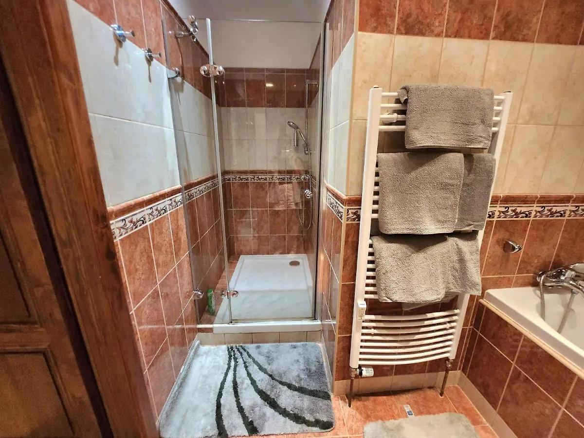 Spacious Apartment 6Min From The Dancing House プラハ